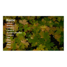 Flowers Profile Card Business Card Templates