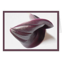 Flowers - Purple Lily Card