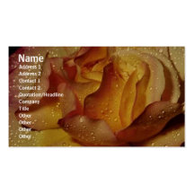 Flowers Rose Profile Card Business Card