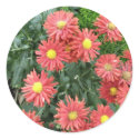 flowers stickers