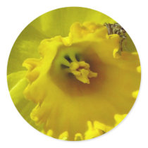 Flowers Stickers