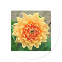Flowers Round Stickers