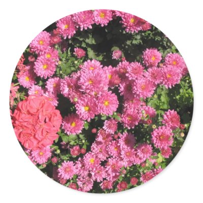 flowers stickers by DonnaGrayson_Photos