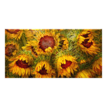 Flowers - Sunflowers - You're my only sunshine Picture Card
