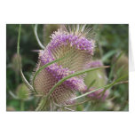 FlowersNotecard sauvage Cartes