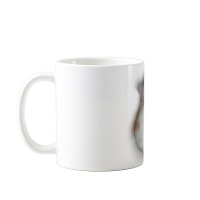 Fluff-ball -Tic Mug by roborovskihamsters