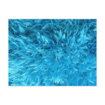 Fluffy Blue Fur Postcards