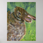 Fluffy Bunny Posters