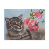 Fluffy Cat and 3 Pink Roses Postcard