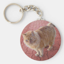 fluffy cat key chain