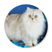 Fluffy Cat Fridge Magnets