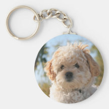 Fluffy Dog Keychains