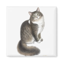 Fluffy Duffy Cat Magnet