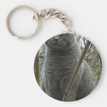 Fluffy grey cat key chain