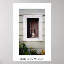 Fluffy in the Window Posters