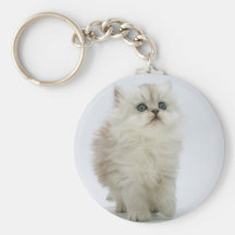 Fluffy Kitten Key Chain