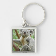 Fluffy Koala Keychain