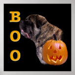 Fluffy Mastiff Boo Poster