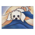 Fluffy Or Marilyn?  by Robyn Feeley Greeting Card