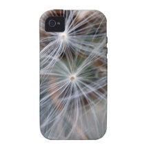 Fluffy (Parachute) Dandelion Seeds iPhone 4/4S Cases