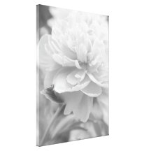 Fluffy Peony Gallery Wrap Canvas
