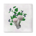 Fluffy Pink Mushrooms Violets Magnet