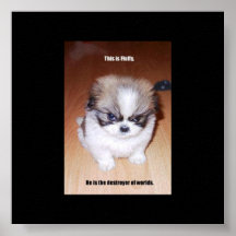 fluffy posters