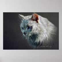 Fluffy Posters