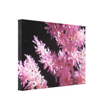 Fluffy Stretched Canvas Prints