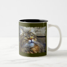 FLUFFY TABBY KITTEN Collection Coffee Mugs