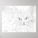 Fluffy Wall Decor Poster