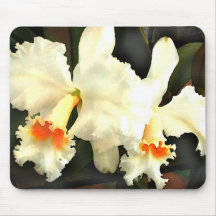 Fluffy White Cat...tleyas Mousepads