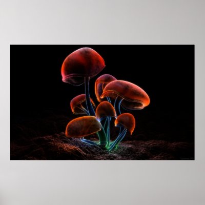 Fluorescence (2009) print by digitalblasphemy