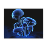 Fluorescence Postcard