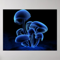 Fluorescence Print