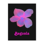 Fluorescent Begonia Customizable Postcard