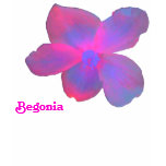 Fluorescent Begonia Customizable T Shirt