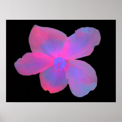 Fluorescent Begonia Flower Print by Fallen_Angel_483