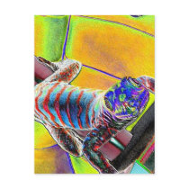 Fluorescent Lizard Post Cards