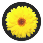 Fluorescent Marigold Sticker