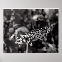 Flutterby Poster