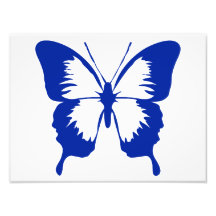 Fluttering Blue Butterfly Silhouette Art Photo
