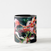 Fluttering Pinks Coffee Mug