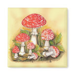 Fly Agaric Collection Magnets