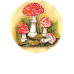 Fly Agaric Collection t-shirts