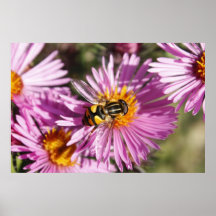 Fly and Flowers Print