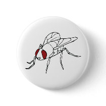 fly animal insect illustration graphic