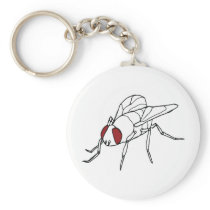 fly animal insect illustration graphic