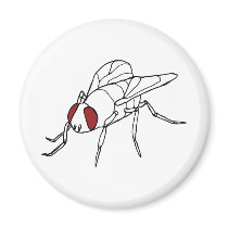 fly animal insect illustration graphic
