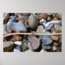 Fly at rest print